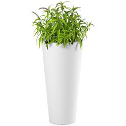 Ghiveci Monumo Habana 80/30 (White) Thumb