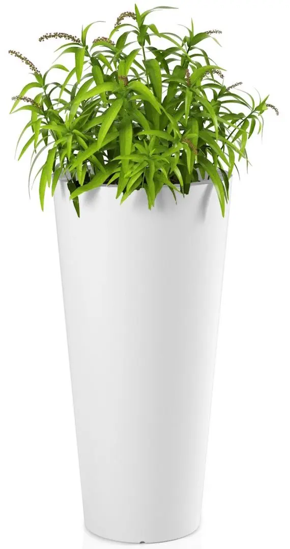 Ghiveci Monumo Habana 80/30 (White) - 3