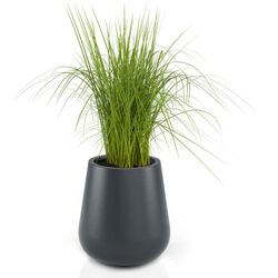 Горшок Monumo Lago 50/23 (Anthracite) Thumb