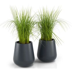 Горшок Monumo Lago 50/23 (Anthracite) Thumb