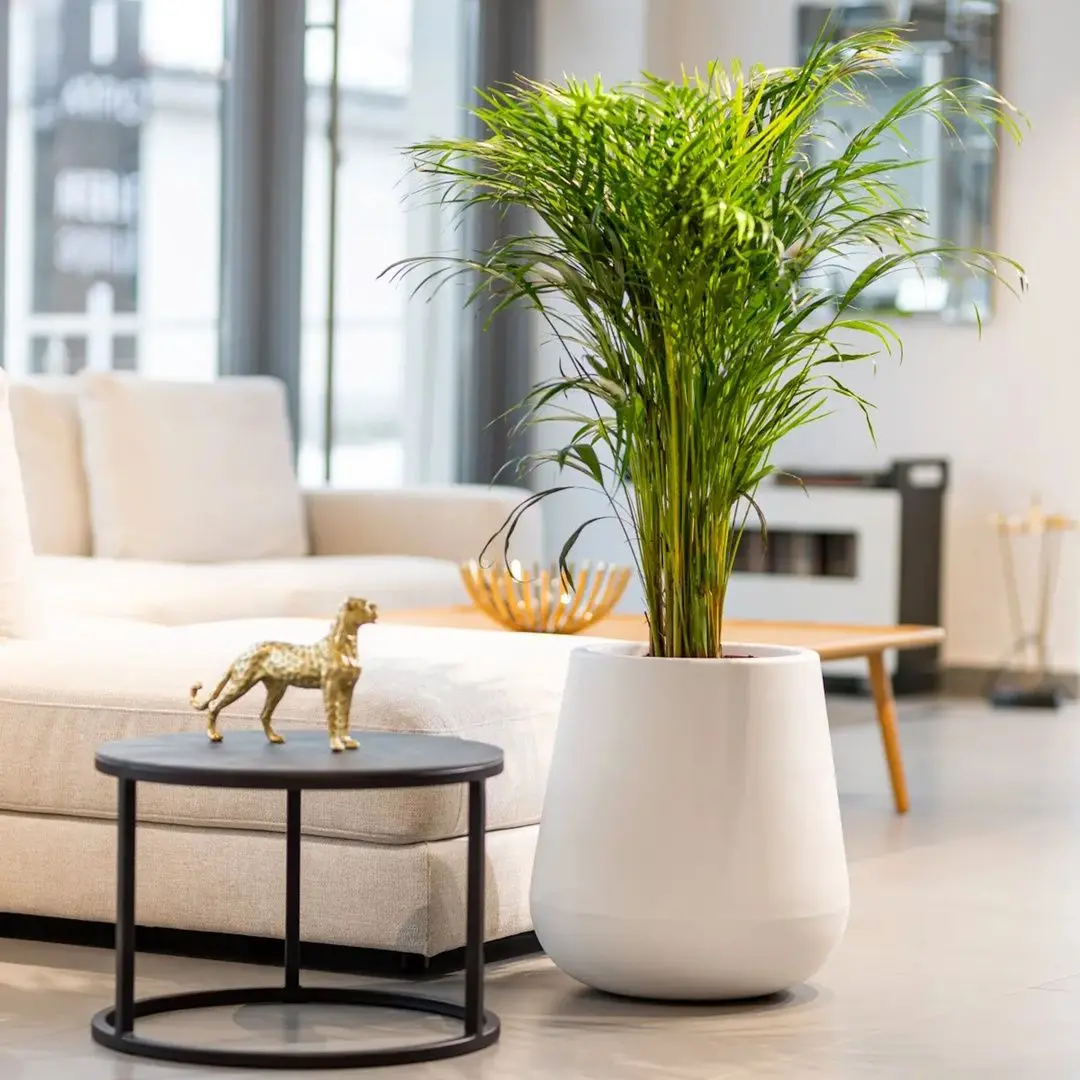 Ghiveci Monumo Lago 50/23 (White) - 3