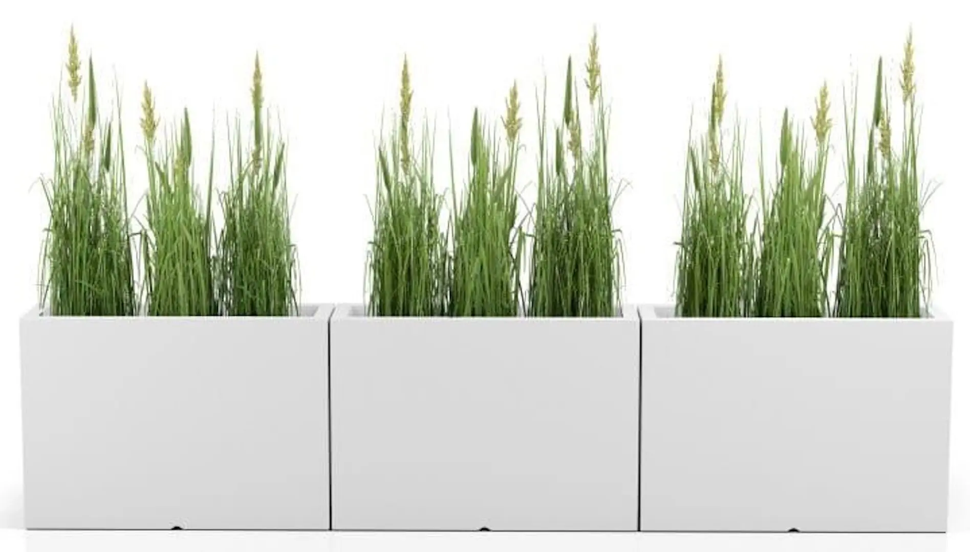 Ghiveci Monumo Longerino 70/25 (White) - 2