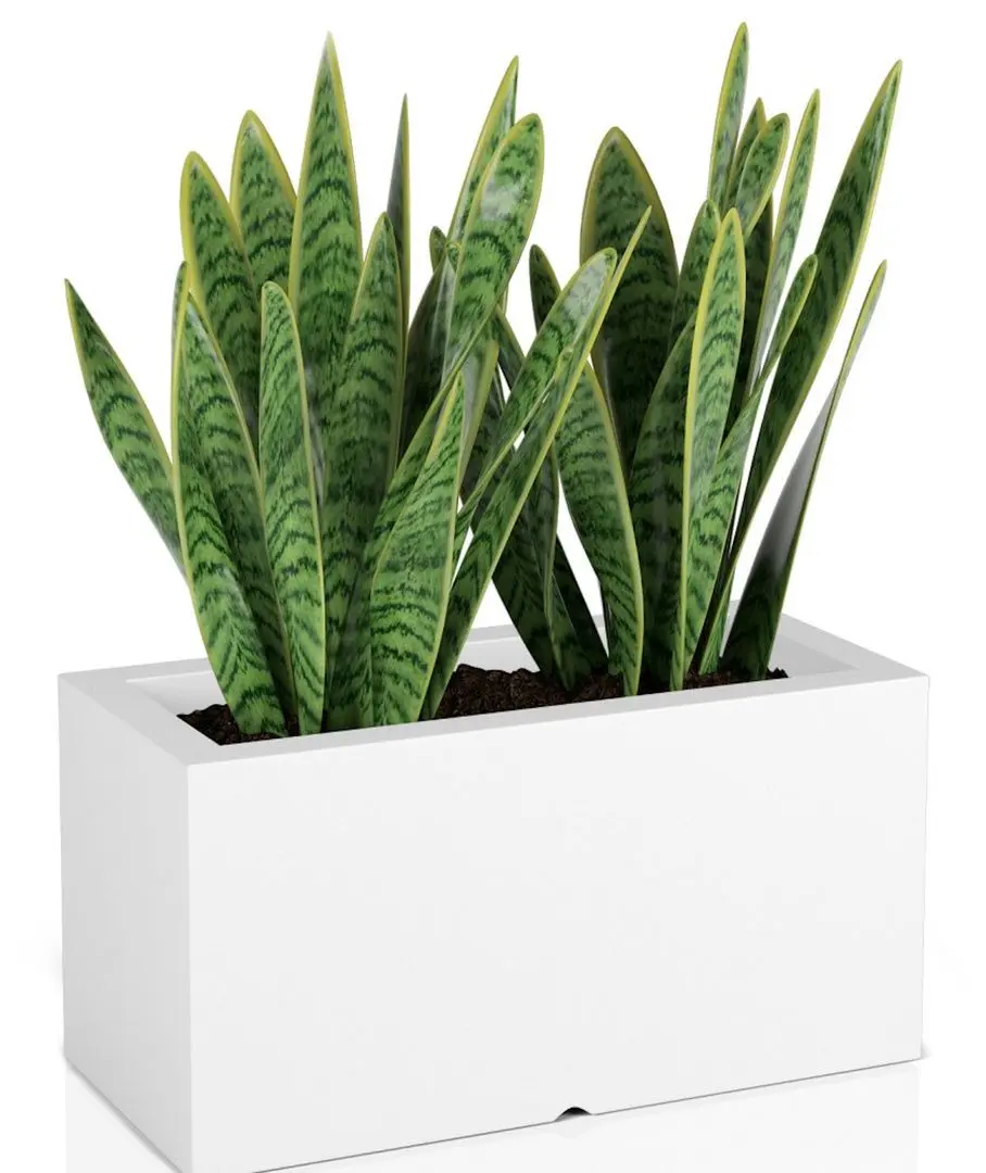 Ghiveci Monumo Lungo 38/15 (White) - 2