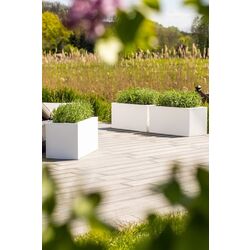 Ghiveci Monumo Lungo 38/15 (White) Thumb