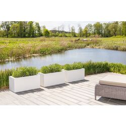 Ghiveci Monumo Lungo 38/15 (White) Thumb