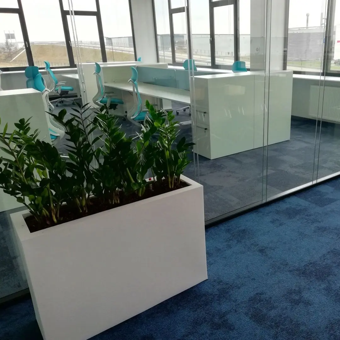 Ghiveci Monumo Lungo Grande 60/25 (White) - 3