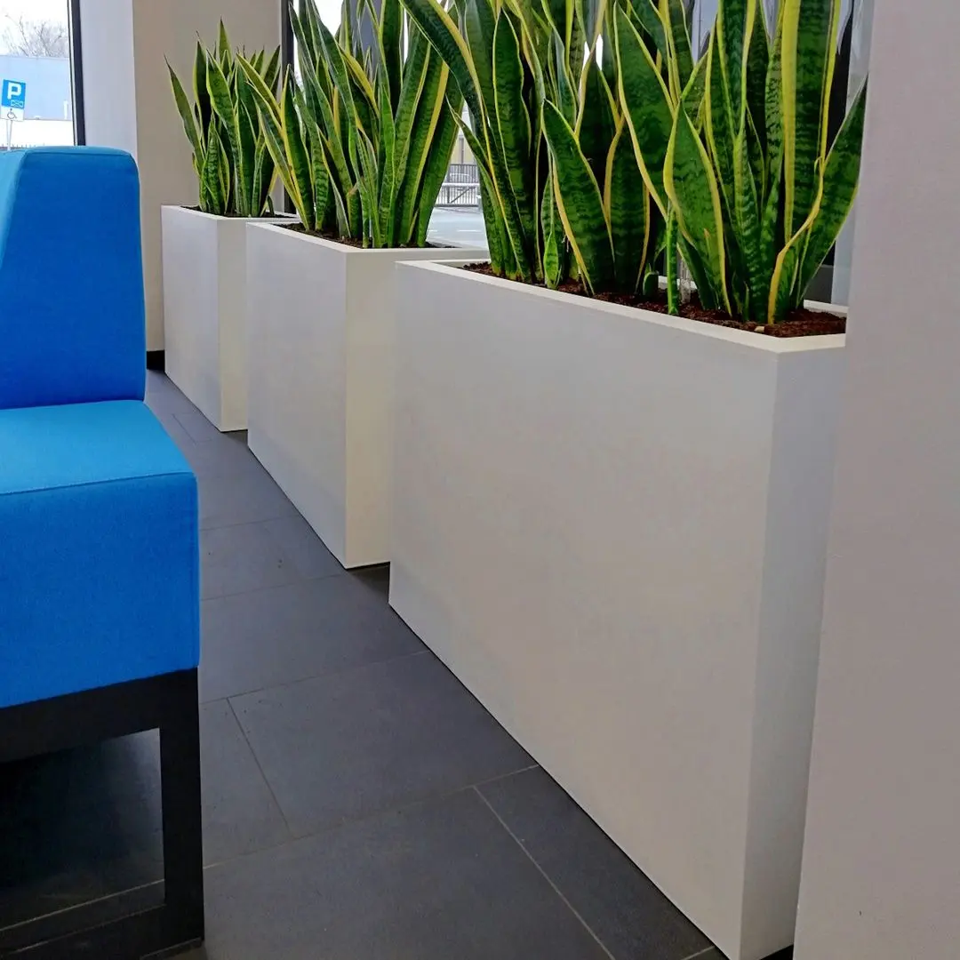 Ghiveci Monumo Lungo Grande 60/25 (White) - 4