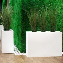 Ghiveci Monumo Lungo Grande 60/25 (White) Thumb