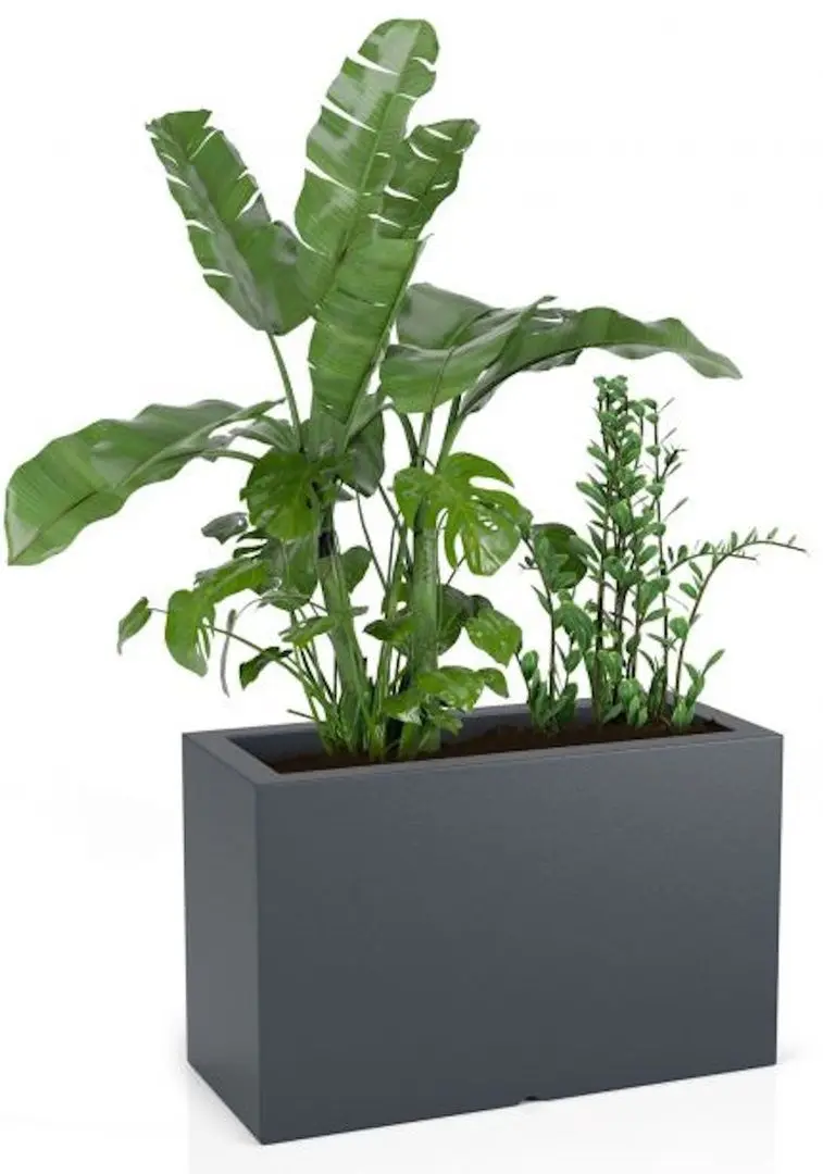 Горшок Monumo Lungo Maxi 50/22 (Anthracite) - 2