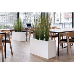 Ghiveci Monumo Lungo Maxi Light 50/22 (White) Thumb