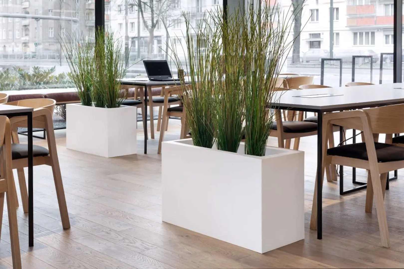 Ghiveci Monumo Lungo Maxi Light 50/22 (White) - 4