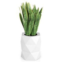 Ghiveci Monumo Modena 54cm (White) Thumb
