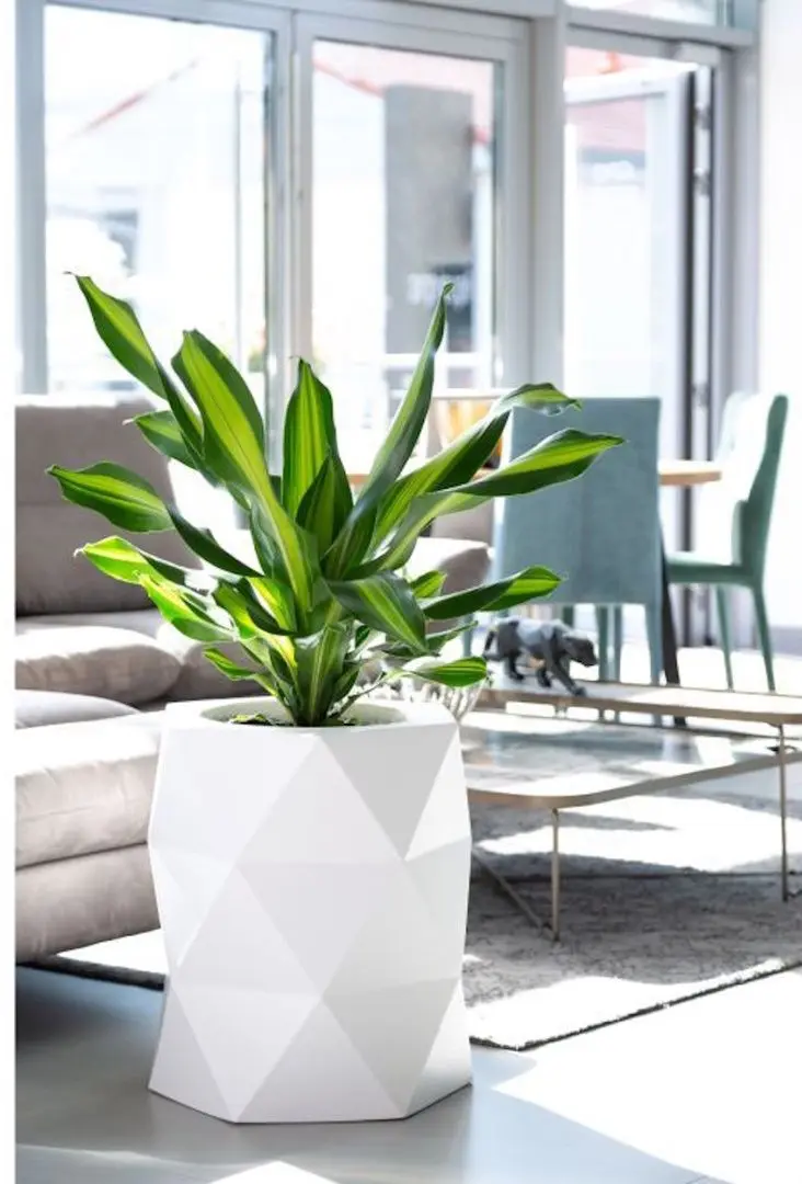 Ghiveci Monumo Modena 54cm (White) - 5