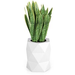 Горшок Monumo Modena Light 54cm (White) Thumb