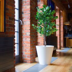 Ghiveci Monumo Ovo 50/20 (White) Thumb