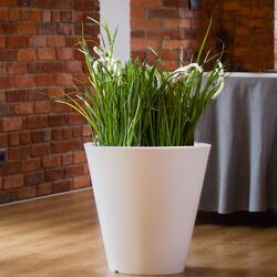 Ghiveci Monumo Ovo 50/20 (White) Thumb