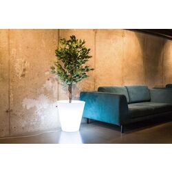 Ghiveci Monumo Ovo Light 50/20 (White) Thumb