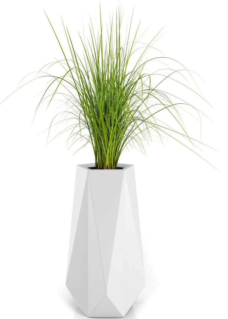 Ghiveci Monumo Siena 75cm (White) - 2