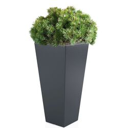 Ghiveci Monumo Slim Line M 110/50 (Anthracite) Thumb