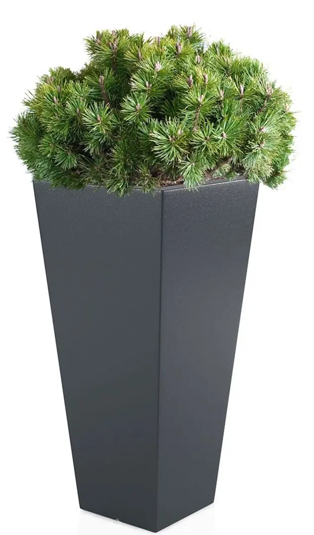 Ghiveci Monumo Slim Line M 110/50 (Anthracite) - 2