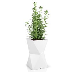 Ghiveci Monumo Valencia 70cm (White) Thumb