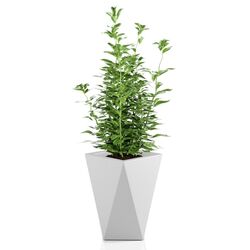 Ghiveci Monumo Vaso 59cm (White) Thumb