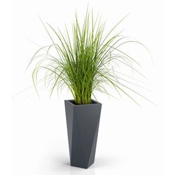 Ghiveci Monumo Vaso 72/20 (Anthracite) Thumb