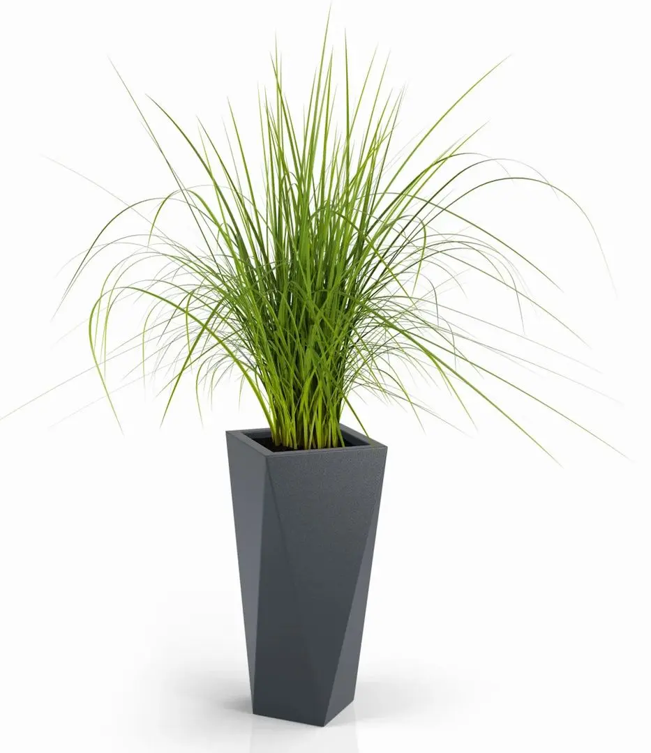 Ghiveci Monumo Vaso 72/20 (Anthracite) - 2