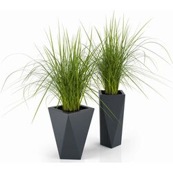 Ghiveci Monumo Vaso 72/20 (Anthracite) Thumb