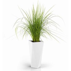 Ghiveci Monumo Vaso 72/20 (White) Thumb