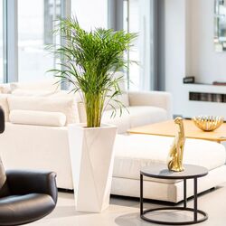 Ghiveci Monumo Vaso 72/20 (White) Thumb