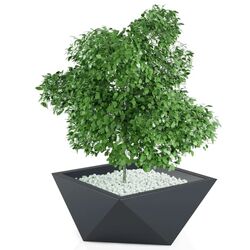 Ghiveci Monumo Vendetta 30/20 (Anthracite) Thumb