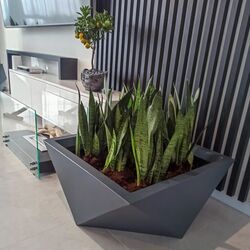 Ghiveci Monumo Vendetta 30/20 (Anthracite) Thumb