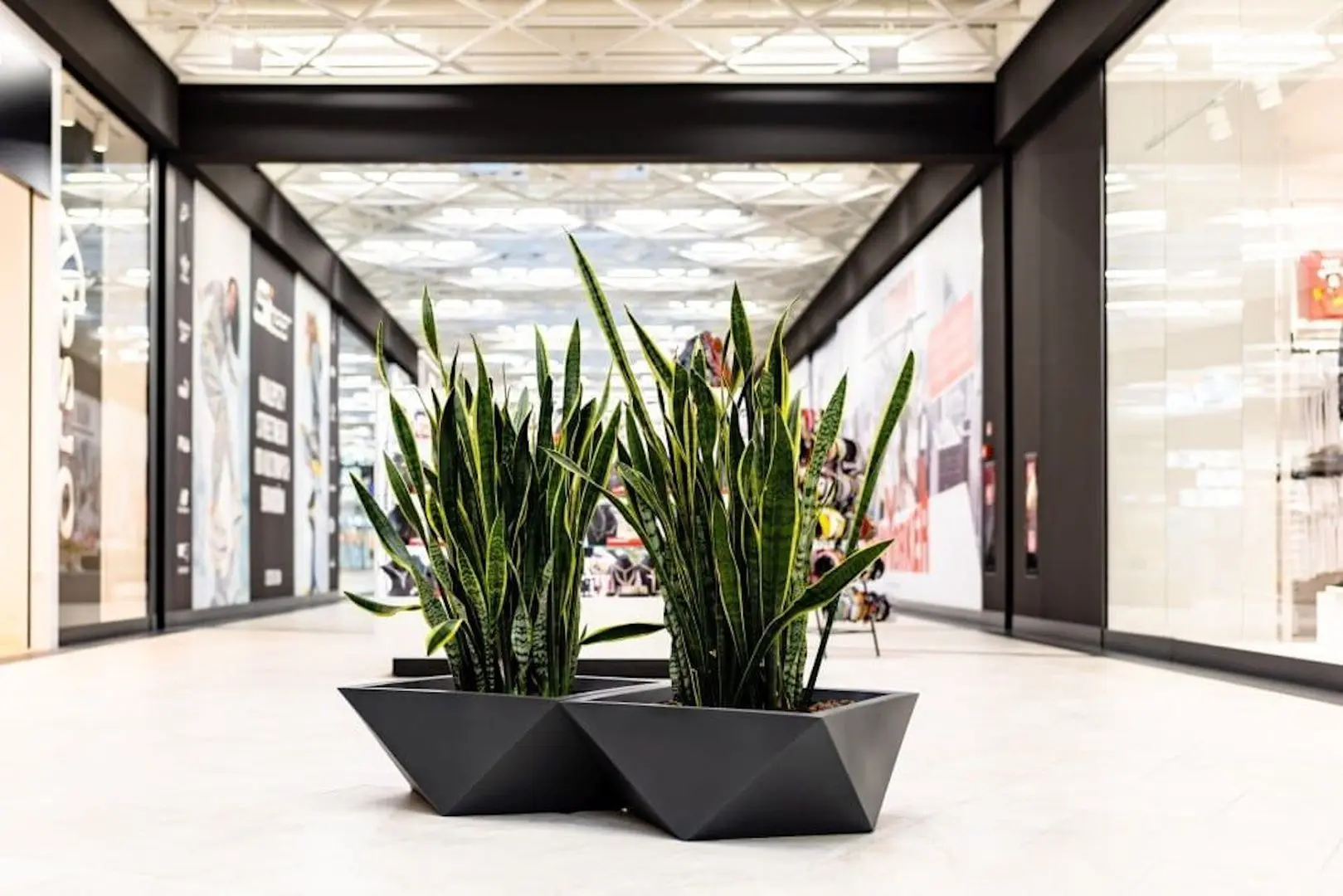 Ghiveci Monumo Vendetta 30/20 (Anthracite) - 5