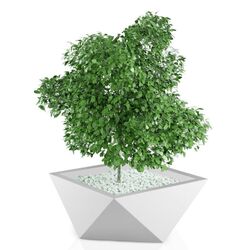 Ghiveci Monumo Vendetta 30/20 (White) Thumb