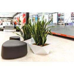 Ghiveci Monumo Vendetta 30/20 (White) Thumb