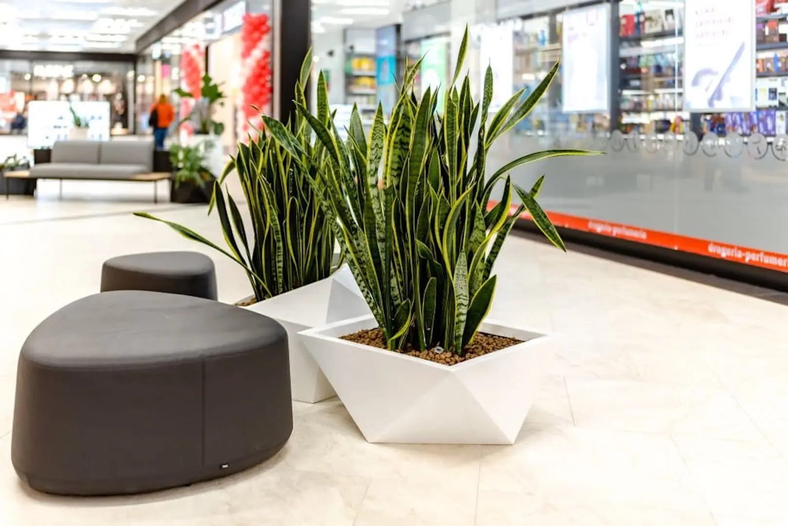 Ghiveci Monumo Vendetta 30/20 (White) - 4