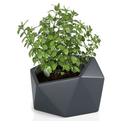 Горшок Monumo Vesari 45.8/40 (Anthracite) Thumb