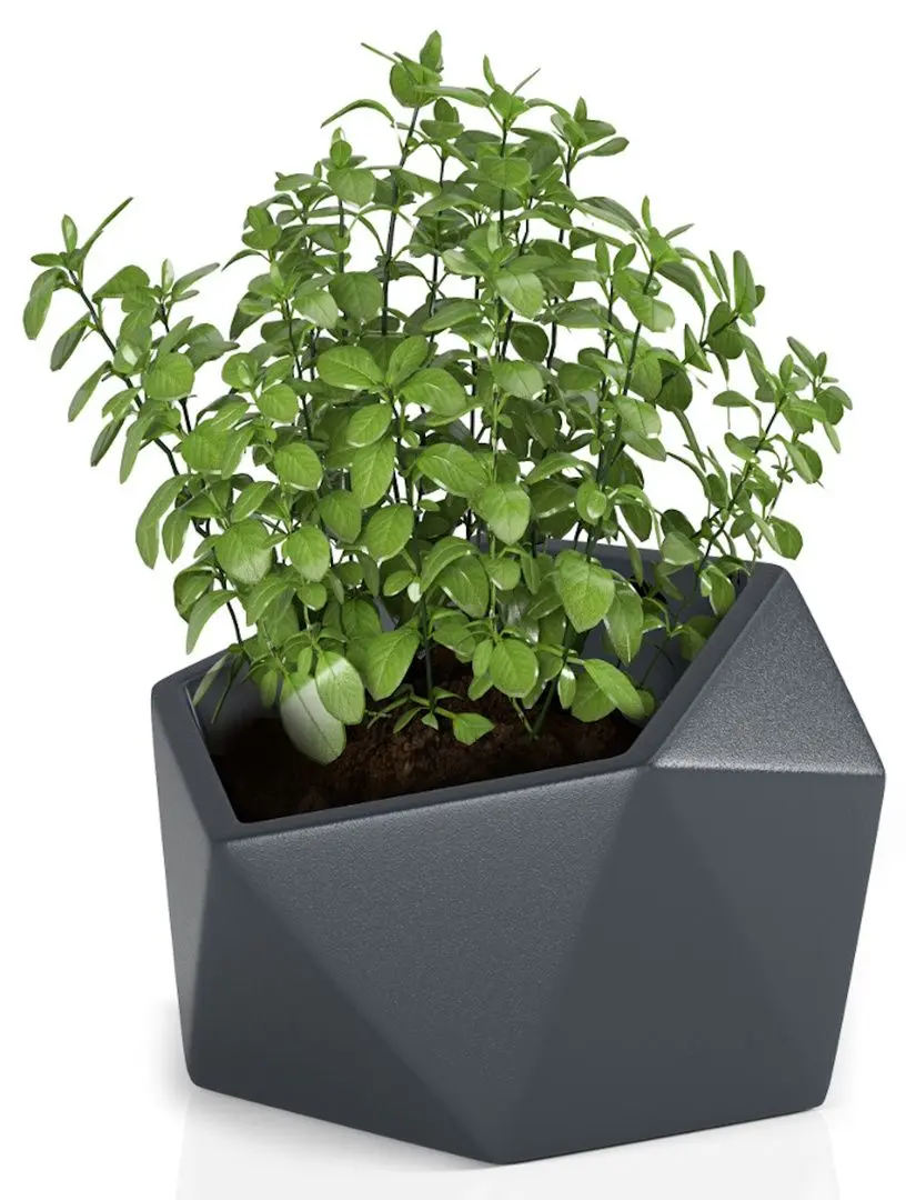 Горшок Monumo Vesari 45.8/40 (Anthracite) - 2