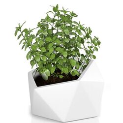 Горшок Monumo Vesari 45.8/40 (White) Thumb