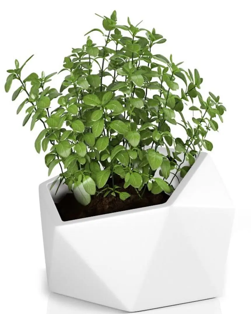 Горшок Monumo Vesari 45.8/40 (White) - 2