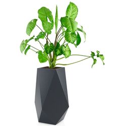 Горшок Monumo Volcano 80cm (Anthracite) Thumb