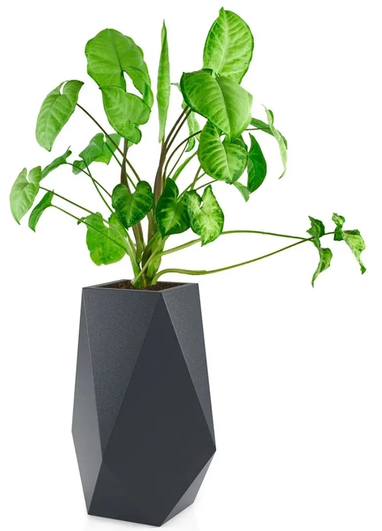 Горшок Monumo Volcano 80cm (Anthracite) - 3