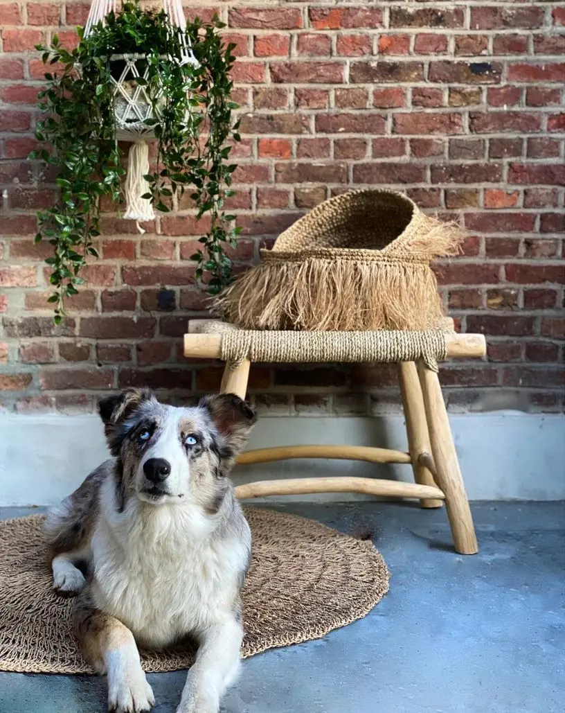 Кашпо подвесное H&S 22166 30x45cm (Beige) - 8