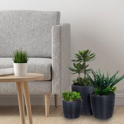 Ghiveci Progarden 50618.2 (Black) Thumb