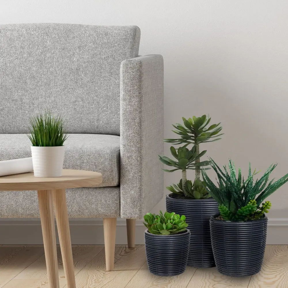 Ghiveci Progarden 50618.3 (Black) - 3