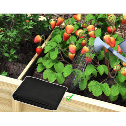 Pat de gradina inaltat Outsunny 84H-086V00ND (Natural) Thumb