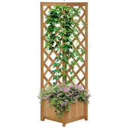 Pat de gradina cu spalier Outsunny 845-776V00BN (Natural) Thumb