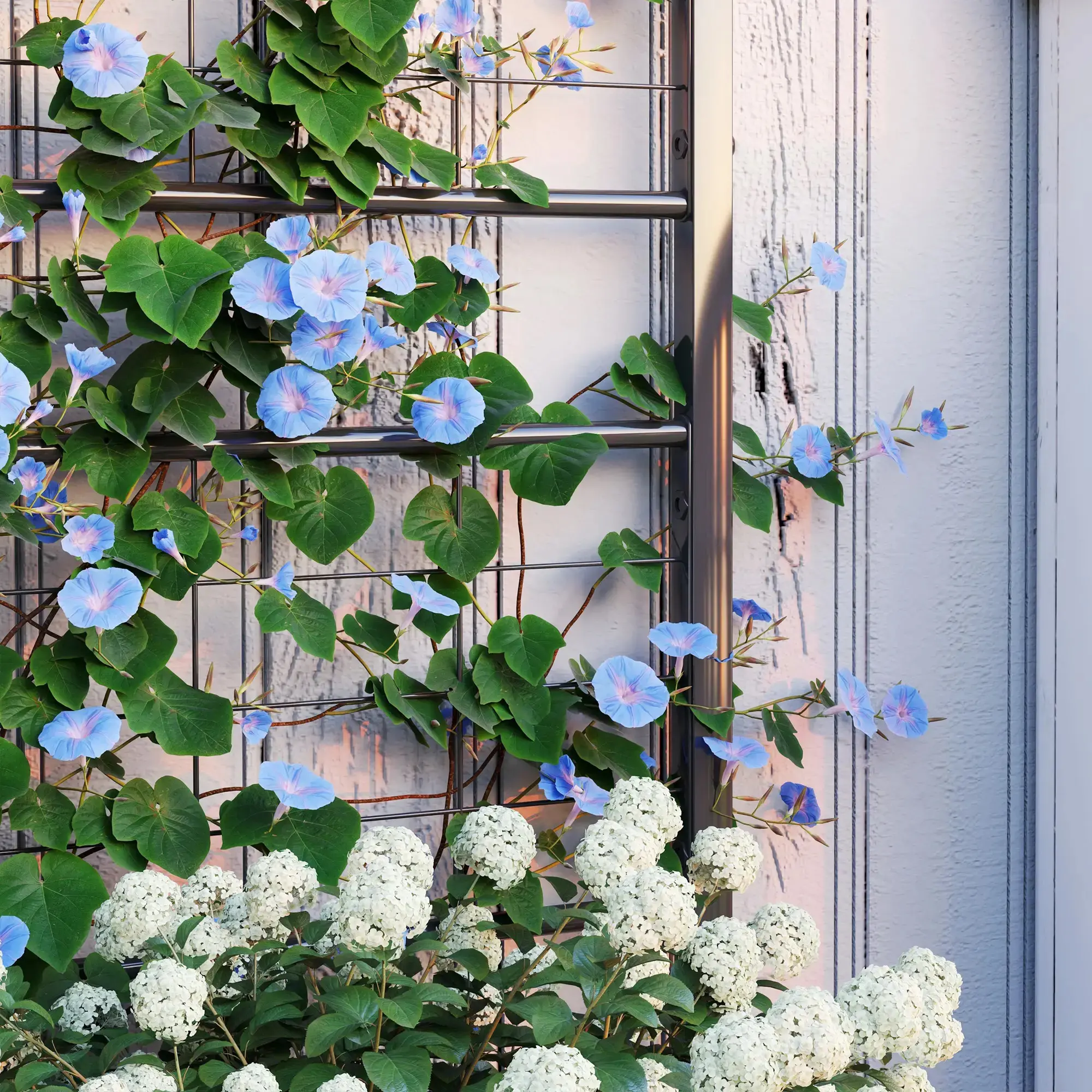 Pat de gradina inaltat cu spalier Outsunny 84H-145V00BK (Black) - 6