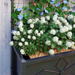 Pat de gradina inaltat cu spalier Outsunny 84H-145V00BK (Black) Thumb